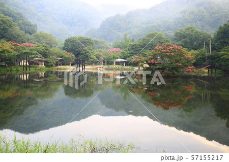 湖 池 朝 57155217