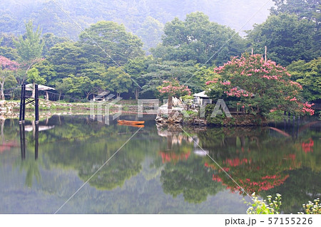 湖 池 朝 57155226