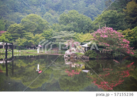 湖 池 朝 57155236