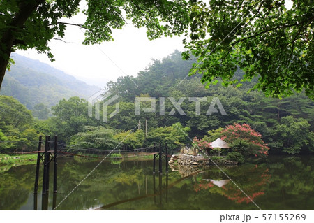 湖 池 朝 57155269