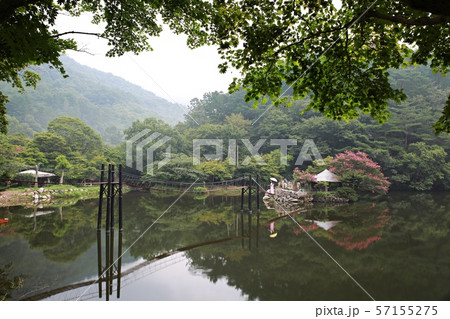 湖 池 朝 57155275