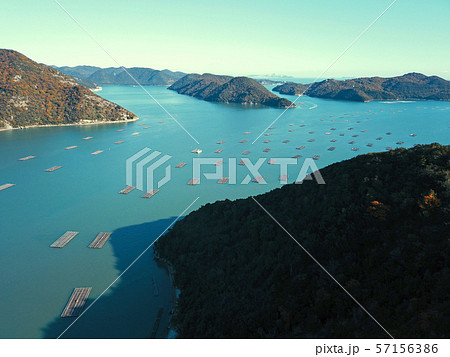 かたかみ大橋上空からの空撮 57156386