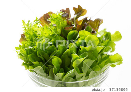 3種類の新鮮野菜 3種類の新鮮野菜 57156896