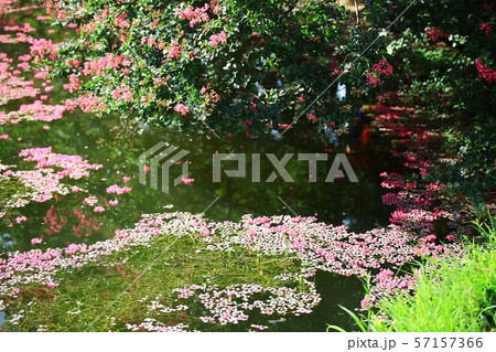 ミョンオクホン 名勝 ガーデン 57157366