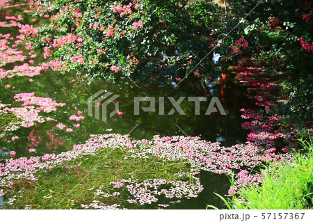 ミョンオクホン 名勝 ガーデン 57157367