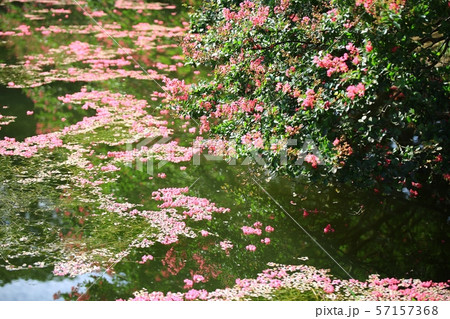 ミョンオクホン 名勝 ガーデン 57157368