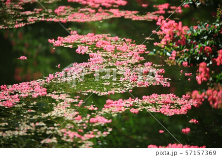 ミョンオクホン 名勝 ガーデン 57157369