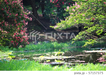 ミョンオクホン 名勝 ガーデン 57157375