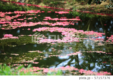 ミョンオクホン 名勝 ガーデン 57157376