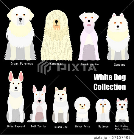 白い犬の一覧のイラスト素材