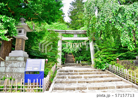 大崎八幡神社　石鳥居 57157713