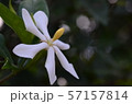 静寂 57157814