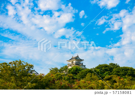 【静岡県】浜松城公園 浜松城浜松城 【静岡県】浜松城公園 浜松城浜松城 57158081