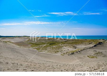【静岡県】中田島砂丘 57158618