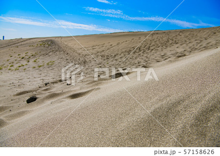 【静岡県】中田島砂丘 57158626