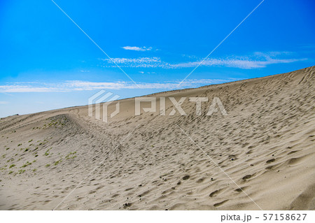 【静岡県】中田島砂丘 57158627
