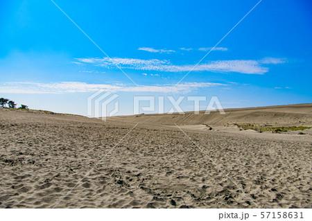 【静岡県】中田島砂丘 57158631