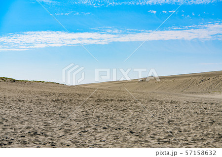 【静岡県】中田島砂丘 【静岡県】中田島砂丘 57158632