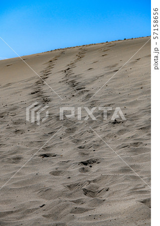 【静岡県】中田島砂丘 57158656