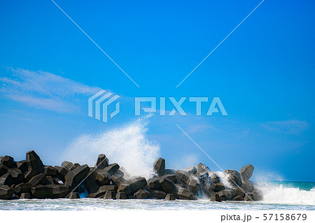 【静岡県】中田島砂丘 57158679