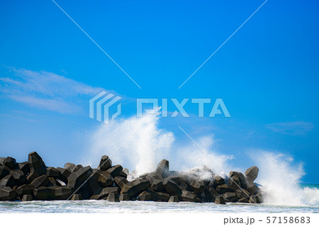 【静岡県】中田島砂丘 57158683