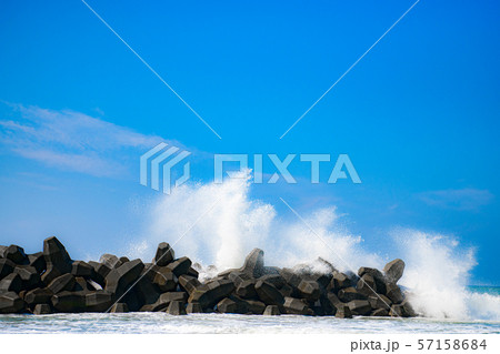 【静岡県】中田島砂丘 57158684