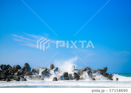 【静岡県】中田島砂丘 57158690