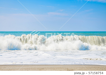 【静岡県】中田島砂丘 57158754