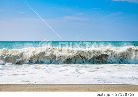 【静岡県】中田島砂丘 57158758