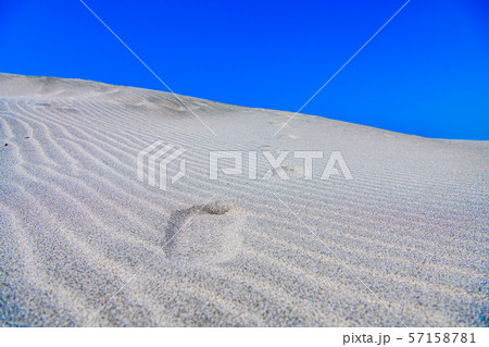 【静岡県】中田島砂丘 【静岡県】中田島砂丘 57158781