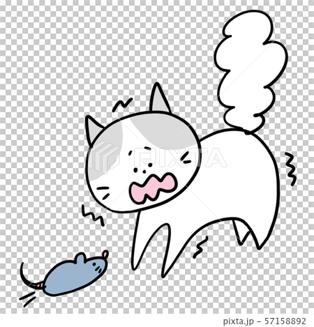 Chicken cat 57158892