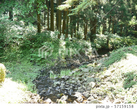 八菅山と八菅神社（かながわの景勝５０選） 57159158