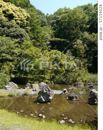 八菅山と八菅神社(かながわの景勝50選) 八菅山と八菅神社(かながわの景勝50選) 57159328