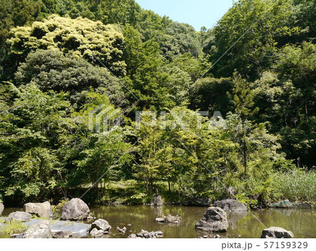 八菅山と八菅神社（かながわの景勝５０選） 57159329