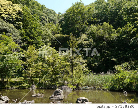 八菅山と八菅神社(かながわの景勝50選) 八菅山と八菅神社(かながわの景勝50選) 57159330