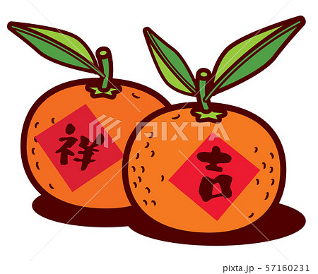 A pair of Chinese New year mandarin oranges with Chinese calligraphy greeting. Translation: Lucky or propitious - vector 57160231