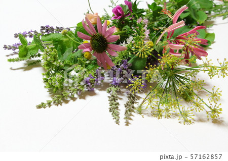 ハーブの花束 ハーブの花束 57162857