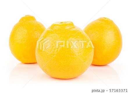 Orange minneola tangelo isolated on white Orange minneola tangelo isolated on white 57163371