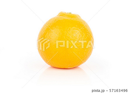 Orange minneola tangelo isolated on white 57163496