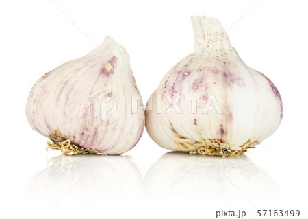 White organic garlic isolated on white 57163499