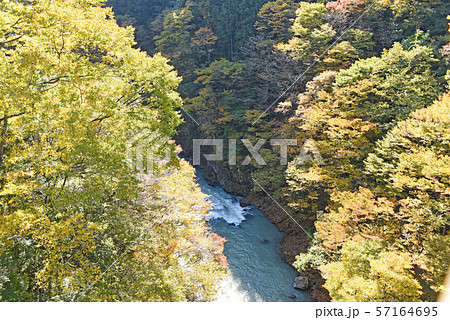 多摩川桧村橋からの紅葉 57164695
