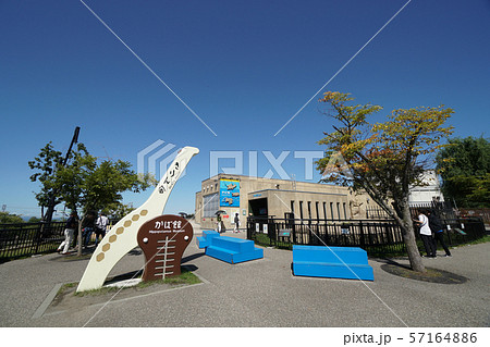 旭川市旭山動物園　園内（きりん舎・かば館付近） 57164886