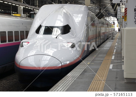 新潟駅に停車中の上越新幹線Maxとき号 57165113