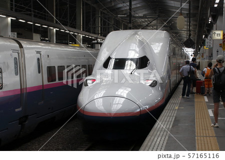 新潟駅に停車中の上越新幹線Maxとき号 57165116