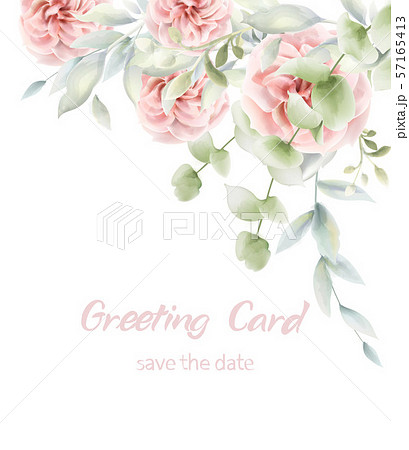 Pink roses floral card Vector watercolor. Provence Pink roses floral card Vector watercolor. Provence 57165413