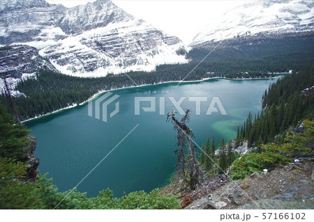 カナディアンロッキー 57166102