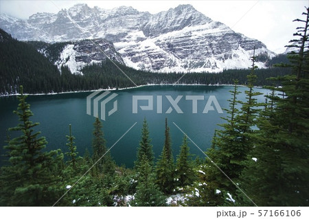 カナディアンロッキー 57166106