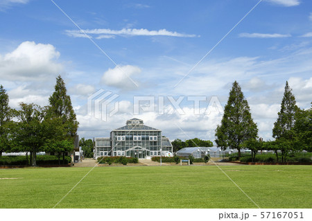 サウスビレッジの広場 57167051