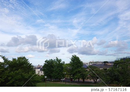 風に流れる雲と木 風に流れる雲と木 57167116