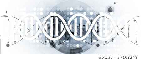 Abstract DNA technology. Science medical concept. 57168248